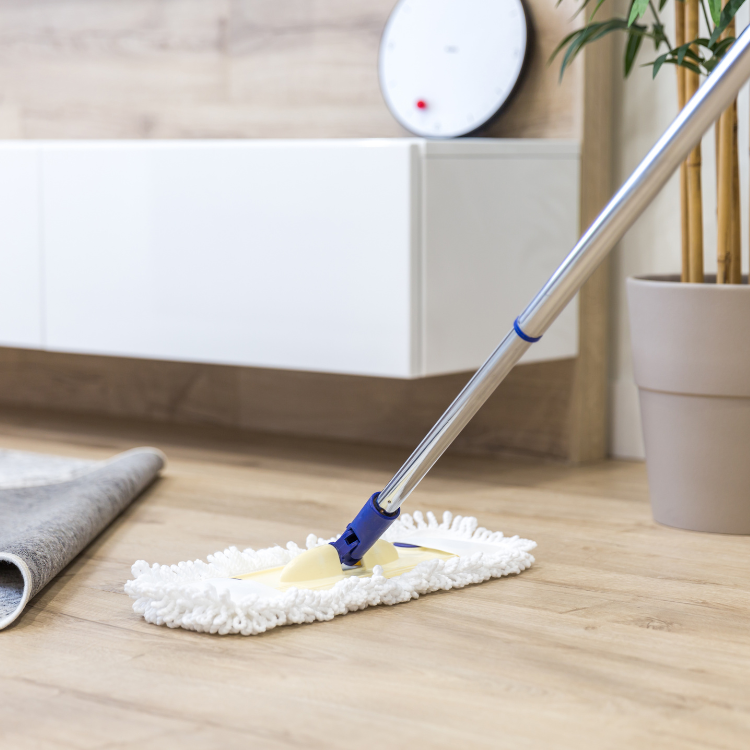 LUXR Cleaning Company