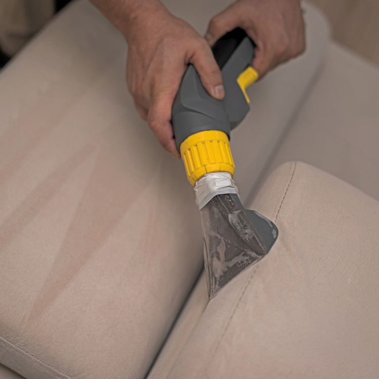 LUXR Cleaning Company